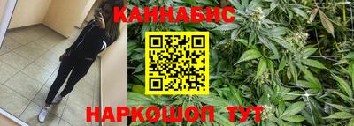 молекула духа Будённовск