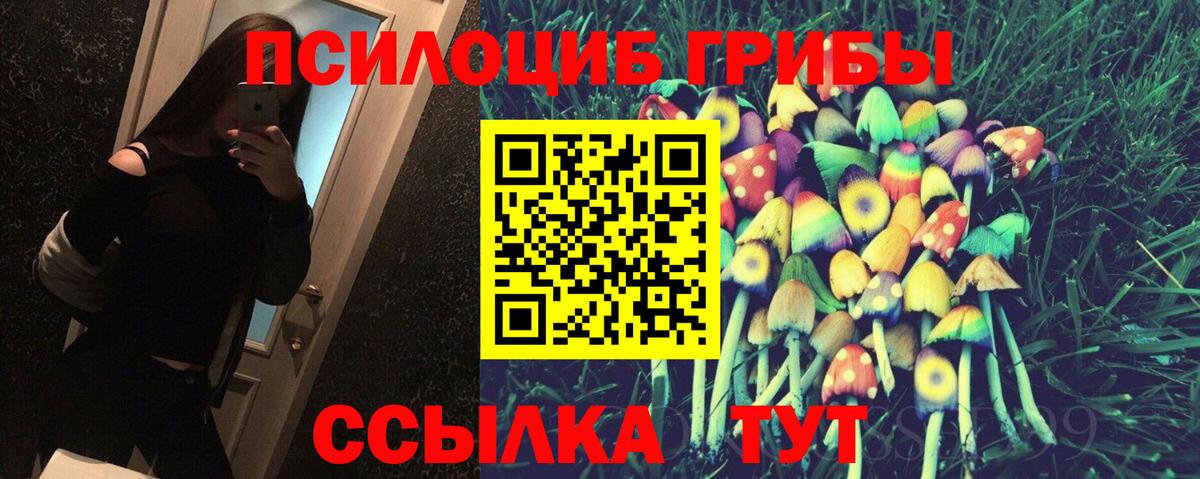 Кореновск  Псилоцибиновые грибы Psilocybe  Вход с VPN 